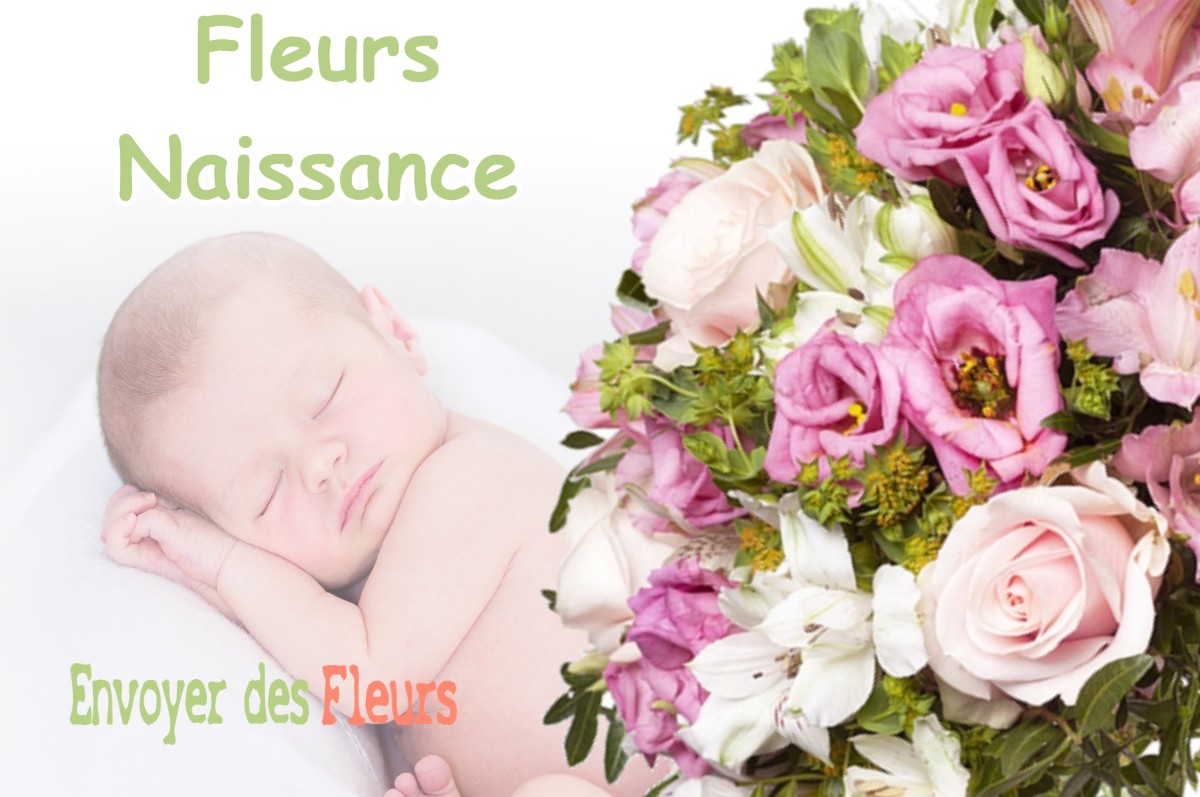 lIVRAISON FLEURS NAISSANCE à BUANES